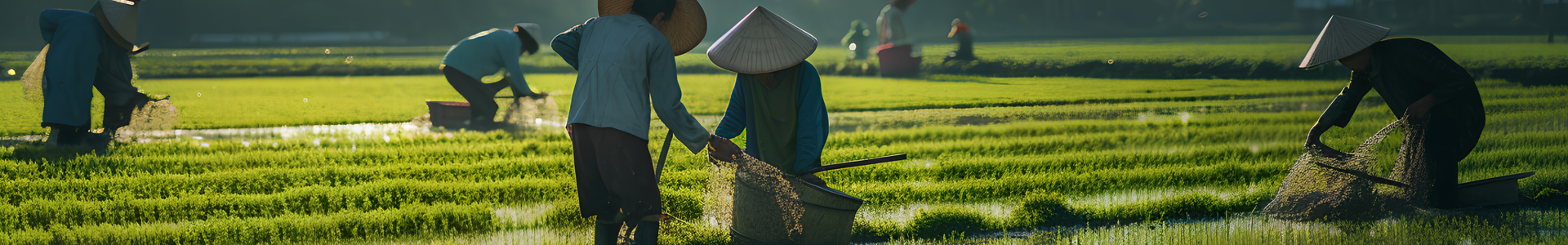 二氧化碳變送器,二氧化碳傳感器,農業(yè)養殖二氧化碳傳感器,深圳市勁力超科技有限公司,為企業(yè)提供智能入網(wǎng)